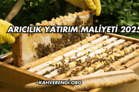 Arıcılık Yatırım Maliyeti 2025