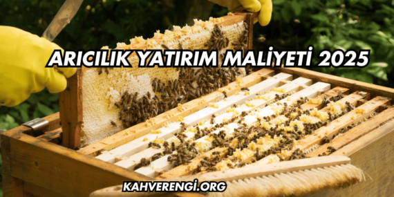 Arıcılık Yatırım Maliyeti 2025