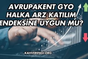 Avrupakent GYO Halka Arz Katılım Endeksine Uygun mu?