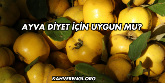 Ayva Diyet İçin Uygun mu?