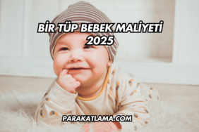 Bir Tüp Bebek Maliyeti 2025