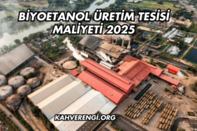 Biyoetanol Üretim Tesisi Maliyeti 2025