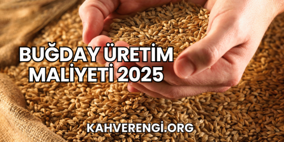 Buğday Üretim Maliyeti 2025