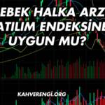 Ebebek Halka Arzı Katılım Endeksine Uygun mu?