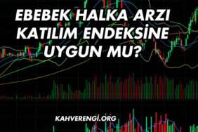 Ebebek Halka Arzı Katılım Endeksine Uygun mu?