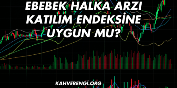 Ebebek Halka Arzı Katılım Endeksine Uygun mu?