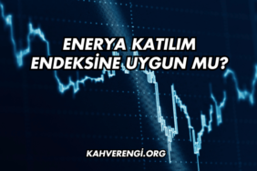 Enerya Katılım Endeksine Uygun mu?