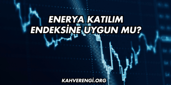 Enerya Katılım Endeksine Uygun mu?