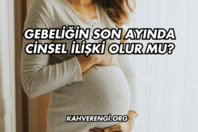 Gebeliğin Son Ayında Cinsel İlişki Olur mu?