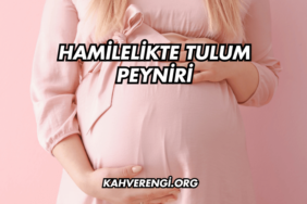 Hamilelikte Tulum Peyniri