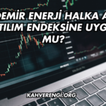 İzdemir Enerji Halka Arz Katılım Endeksine Uygun mu?