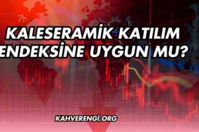 Kaleseramik Katılım Endeksine Uygun mu?