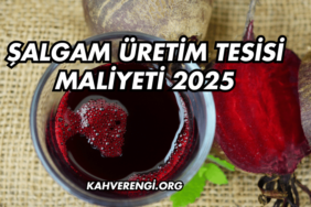 Şalgam Üretim Tesisi Maliyeti 2025