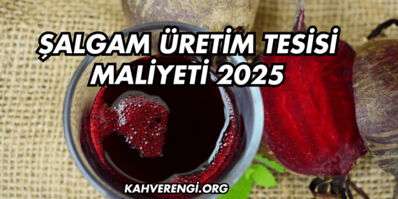 Şalgam Üretim Tesisi Maliyeti 2025