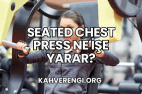 Seated Chest Press Ne İşe Yarar?