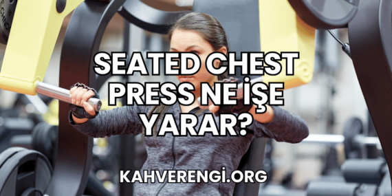 Seated Chest Press Ne İşe Yarar?
