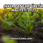 Şeker Pancarı Üretim Maliyeti 2025