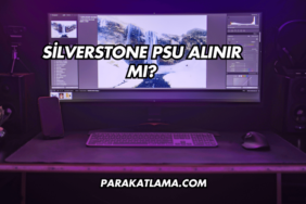 Silverstone PSU Alınır mı?