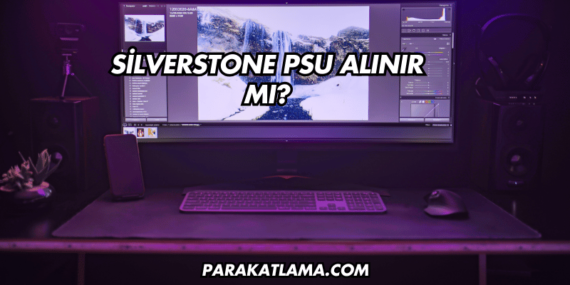 Silverstone PSU Alınır mı?