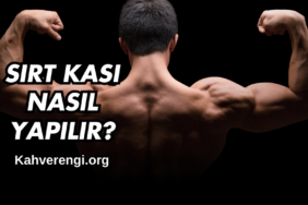 Sırt Kası Nasıl Yapılır
