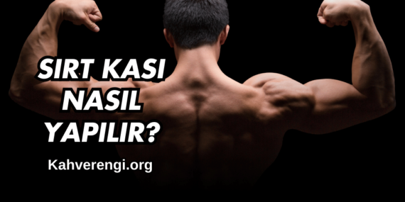 Sırt Kası Nasıl Yapılır?