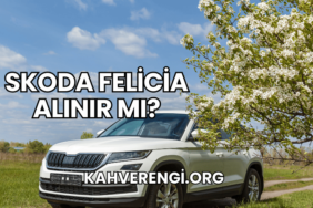 Skoda Felicia Alınır mı?