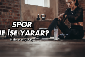 Spor Ne İşe Yarar