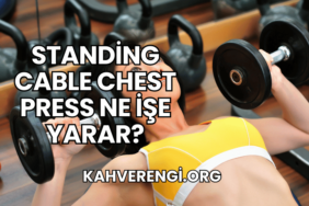 Standing Cable Chest Press Ne İşe Yarar?