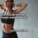 Günlük Kalori İhtiyacı Hesaplama Nasıl Yapılır