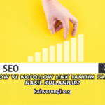 DoFollow ve NoFollow Link Tanıtım Yazısında Nasıl Kullanılır?