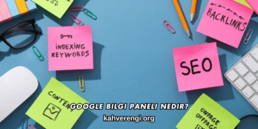 Google Bilgi Paneli Nedir?