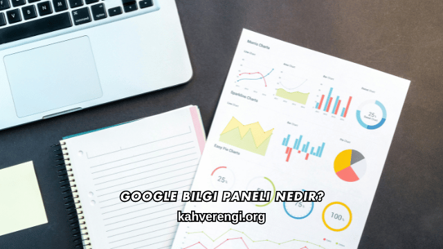 Google Bilgi Paneli Nedir?
