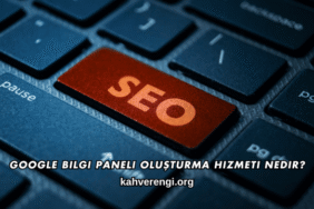 Google Bilgi Paneli Oluşturma Hizmeti Nedir?